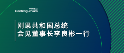 剛果共和國(guó)總統(tǒng)會(huì)見(jiàn)贛鋒鋰業(yè)董事長(zhǎng)李良彬一行